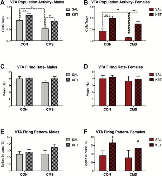 Ketamine has long-term (i.e., 2-7 days post-administration) effects on ventral tegmental area (VTA) dopamine (DA) neurons in male and female rats. (A) Ketamine increased population activity in male rats exposed to chronic mild stress (CMS) (SAL CON: n=4, SAL-CMS: n=6, KET CON: n=5, KET-CMS n=6; P< .01). (B) Ketamine increased VTA population activity in females (SAL CON: n=5, SAL-CMS: n=6, KET CON: n=6, KET-CMS n=6; P< .0001). (C) Ketamine administration did not alter firing rates males (P=.35). (D) No effect of ketamine on firing rate in females (P=.59). (E) Ketamine administration did not change the percentage of burst firing in males (P=.15). (F) Ketamine administration did not change the percentage of burst firing in females (P=.06). Error bars represent mean ± SEM. Gray bars represent males; red bars represent females; checkered bars represent ketamine-treated groups. *P< .05, **P< .01, ***P< .001, ****P< .0001, # denotes trend (P= .06).