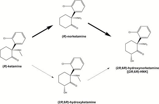 Metabolism of (R)-ketamine in the liver. In the liver, (R)-ketamine is metabolized to (R)-norketamine (major pathway) and (2R,6R)-hydroxyketamine (minor pathway), subsequently (2R,6R)-hydroxynorketamine (HNK).