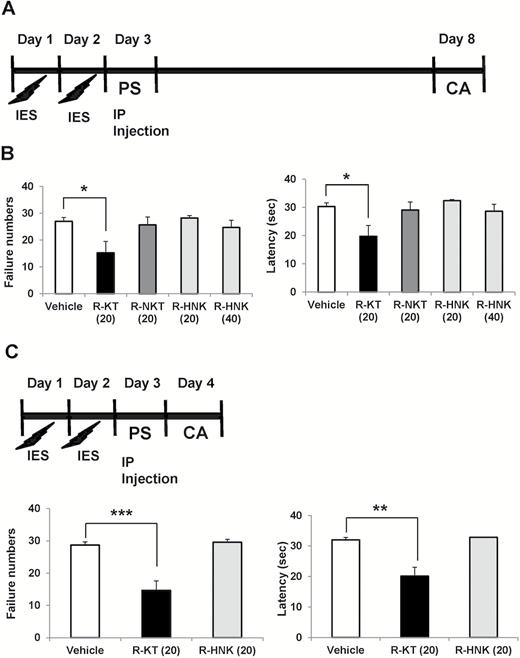 Effects of a single injection of (R)-ketamine, (R)-norketamine, and (2R,6R)- HNK in a rat LH model. (A) Rats received inescapable electric shock (IES) treatments on 2 days (days 1 and 2), passed a post-shock test (PS) on day 3, and were designated as learned helplessness (LH) rats with depression-like phenotype. On day 3, vehicle (saline: 2 mL/kg), (R)-ketamine (20 mg/kg), (R)-norketamine (20 mg/kg), or (2R,6R)- HNK (20 and 40 mg/kg) was administered i.p. into LH rats. On day 8 (5 days after a single injection), conditioned avoidance (CA) test to study the antidepressant effect was performed. (B) The failure number of LH (1-way ANOVA: F4,24 = 3.755, P = .0167). The escape latency of LH (1-way ANOVA: F4,24 = 3.973, P = .013). Data are shown as mean ± SEM (n = 5–8). The number in the parenthesis is the dose (mg/kg). *P < .05 compared with vehicle-treated group. (C) Rats received IES treatments on 2 days (days 1 and 2), passed a PS on day 3, and were designated as LH rats with depression-like phenotype. On day 3, either vehicle (saline: 2 mL/kg), (R)-ketamine (20 mg/kg), or (2R,6R)- HNK (20 mg/kg) was administered i.p. into LH rats. CA test was performed on day 4 (24 hours after a single injection). (D) The failure number of LH (1-way ANOVA: F2,14 = 13.52, P < .0001). The escape latency of LH (1-way ANOVA: F2,14 = 14.73, P = .0004). Data are shown as mean ± SEM (n = 5 or 6). The number in the parenthesis is the dose (mg/kg). **P < .01, ***P < .001 compared with vehicle-treated group. R-KT: (R)-ketamine, R-NKT: (R)-norketamine, R-HNK: (2R,6R)-hydroxynorketamine.