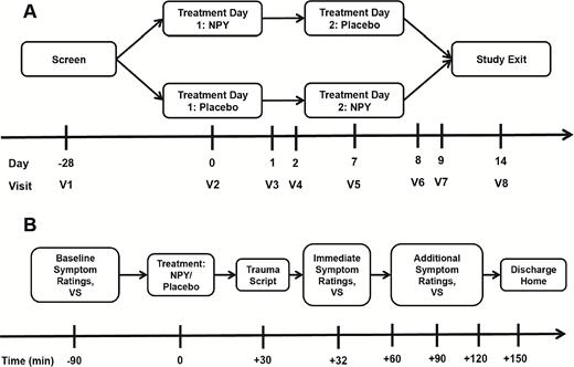 Study flow diagram. (A) Overview of randomized crossover study design. (B) Study procedure timeline occurring on each of 2 treatment days (V2 and V5). NPY, neuropeptide Y; VS, vital signs.