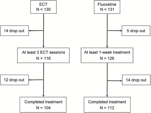 Study design for patients with major depressive disorder treated with electroconvulsive therapy or fluoxetine.