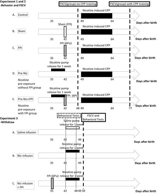 Diagrammatic representation of Experiments 1–3. Experiment 1: The animals are separated into: group (A) conditioned place preference (CPP) group, the rats that only received CPP test; group (B) Sham+CPP, the rats that received a sham operation and then CPP tests; group (C) FPI+CPP group: the rats received 6 Psi fluid percussion injury (FPI) and then CPP tests; group (D) Pre-Nic+CPP group, the rats received 1 week pump implantation releasing nicotine without FPI and then received the CPP tests; group (E) Pre-Nic+FPI+CPP group, the rats received pump implantation releasing nicotine for 1 week and then received 6 Psi-FPI followed by CPP tests. Experiment 2. Electrochemical measurement of dopamine release of using fast scan cyclic voltammetry (FSCV) to determine the dopamine release changes before and after nicotine-induced CPP in each group. Experiment 3. The effect of 6 Psi FPI on nicotine withdrawal signs. The rats were divided into 3 groups: (1) Saline-infusion, rats infused with saline for 7 days; (2) Nic-infusion, rats infused with nicotine (9 mg/kg/d) for 7 days; and (3) Nic-infusion+FPI group, rats infused with nicotine (9 mg/kg/d) for 7 days followed by 6 Psi FPI. (CPP test: nicotine-induced CPP training with a 16-day conditioning period and tests shown in black bar).
