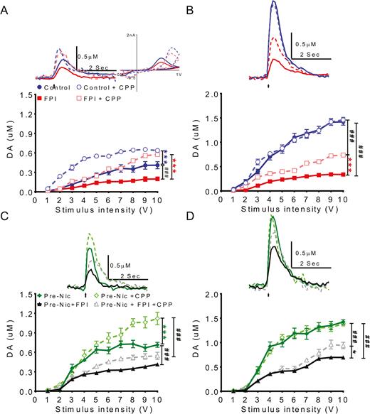 To determine if fluid percussion injury (FPI) and nicotine preexposure affects dopamine transmission in nucleus accumbens (NAc) shell, dopamine release in NAc shell was measured using fast scan cyclic voltammetry (FSCV). Dopamine signals evoked by different stimulation intensities (1~10 V) were plotted as input/output (I/O curves). To evaluate the effect of FPI on dopamine transmission in NAc shell portion during conditioned place preference (CPP) training, (A) tonic and (B) phasic release in control and FPI groups were evaluated. Before CPP training, the tonic and phasic levels of the FPI group were very low. After CPP training, the (A) tonic level increased in both FPI and control animals greater than before CPP (FPI+CPP: white square vs FPI: black square). (B) Phasic release increased after CPP training in the FPI group (FPI+CPP: white square vs FPI: black square), but the increment in the FPI group was less than in the control group (FPI+CPP: white square vs Control+ CPP: white circle). To analyze the effect of FPI on DA transmission in NAc shell of nicotine preexposed animals, the I/O curves of (C) tonic and (D) phasic release in nicotine pretreatment only (Pre-Nic) and FPI with nicotine pretreatment groups were compared. (C) Before CPP training, tonic release in nicotine pretreated animals with FPI (Pre-Nic+FPI) was lower than nicotine pretreated only (Pre-Nic) animals. (Pre-nic+FPI: black solid triangle Pre-Nic: green solid diamond). After CPP training, tonic release in the Pre-Nic+FPI group (gray open triangle) increased but increments were not as high as in the nicotine pretreatment only group (Pre-Nic: green open diamond). (D) The phasic release signal in nicotine pretreatment only animals (Pre-Nic: green open diamond) showed the highest level after CPP training comparing FPI with nicotine pretreatment groups (Pre-Nic+FPI+CPP: gray open triangle). The variation in I/O curves before and after CPP training in FPI animals with nicotine pretreatment showed the phasic release evoked by higher intensities (>7 V) post-CPP training were higher (Pre-Nic+FPI+CPP group: gray open triangle vs Pre-Nic+FPI: black solid triangle).