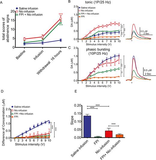 did not affect abstinence/withdrawal. To determine whether traumatic brain injury (TBI) affected withdrawal from nicotine, a 7-day nicotine infusion for 1 week in uninjured or after FPI injury groups, and subsequent withdrawal, was studied. A group of animals with no prior nicotine infusion was also tested (saline infusion). (A) Nicotine infusion in both control (N=6) and FPI (N=6) injured animals showed withdrawal responses after 1 week of nicotine infusion compared to saline-infused control animals (N=6). (B) For tonic release, DA release was highest in the control and saline groups, followed by the control (Saline-infusion; blue solid circle, n=14 slices from 8 rats) and nicotine-treated (Nic-infusion; red open circle, n=6 slices from 3 rats) animals. Both injured groups, with (FPI+Nic-infusion; green open triangle, n=6 slices from 3 rats) and without nicotine pretreatment (FPI; orange solid triangle, n=6 slices from 3 rats) had much lower release values. For phasic release, control animals with and without nicotine had similar high release values. (C) Injured animals with nicotine exposure had lower values, and the injured animals without nicotine treatment had the lowest releases. (D) Linear regression revealed the differences in dopamine concentration between single pulse and 10 pulses at 25 Hz under different stimulation intensities (from 1 to 10 volts), which may reflect the release capacity of dopaminergic synapses. (E) The slopes of the linear regression lines were flat in FPI injured animals with or without nicotine preexposure.