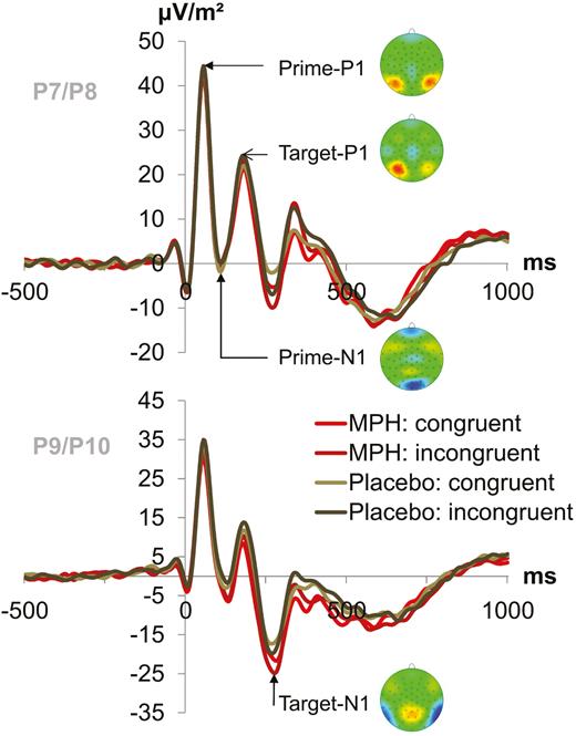 P1 and N1 event-related potential (ERP)-components. (A) Target-locked P1 and N1 ERPs elicited by the prime stimulus and target stimulus (onset at time point zero) at electrodes P7 and P8 (pooled) for the prime P1, prime N1, and target P1 and at electrodes P9 and P10 (pooled) for the target N1. Each combination of drug/placebo and flanker congruency is depicted separately (green denotes the placebo condition and red the MPH condition while lighter shades of the respective color denote congruent flankers and darker shades denote incongruent flankers). Topography maps of the peaks are depicted next to the respective peak names. Red colors denote positive values, blue colors negative values.