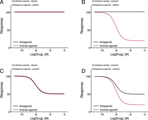 Effects of antagonists and inverse agonists in systems with or without constitutive receptor activity and endogenous agonist tone. (A) In a system where there is no endogenous agonist action and no constitutive receptor activity, application of inverse agonists or antagonists will not alter the basal level of response. (B) When there is constitutive receptor activity but no endogenous agonist action, an antagonist will not alter the basal level of response. By reducing constitutive receptor activity, an inverse agonist will reduce the basal response. (C) In a system with only endogenous agonist tone (no constitutive receptor activity), both antagonists and inverse agonists will reduce the ongoing agonist-dependent response equally as both will reduce receptor occupancy by the agonist. (D) When there is both constitutive receptor activity and action of an endogenous agonist, an antagonist will reduce the component of the response that is due to the endogenous agonist. An inverse agonist will reduce both the endogenous agonist component, but also will reduce constitutive receptor activity; therefore, the effect of the inverse agonist will be greater than that of the antagonist.