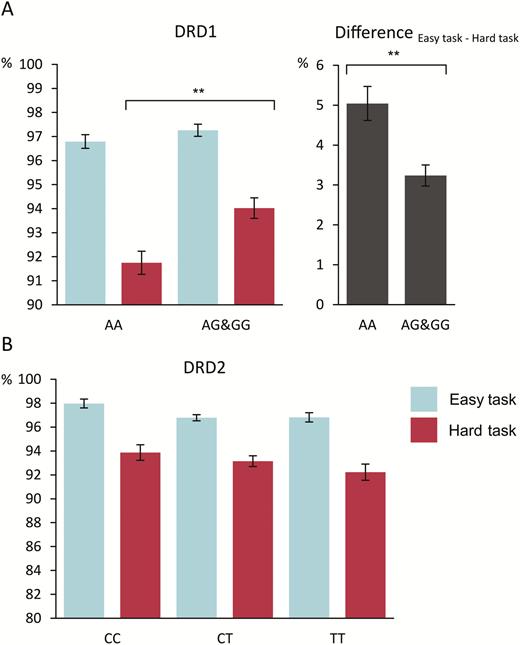 (A) Illustration of response accuracy for the different genotype groups of the DRD1 (rs4532) single nucleotide polymorphism (SNP). G allele carriers (AG&GG) showed a smaller performance difference between the easy and hard task than homozygous A allele carriers (AA) (right graph). This performance difference was mainly driven by higher accuracy in the hard task for the AG&GG group compared to the AA group. (B) Illustration of response accuracy for the different genotype groups of the DRD2 (rs6277) SNP. There were no accuracy differences between the 3 genotype groups (CC, CT, and TT) in the easy task or the hard task. Error bars indicate SEMs, and significant group differences are denoted with asterisks (**P < .001).