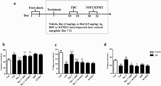 Microinjection of PKA or PKG inhibitor (H89 or KT5823) into central amygdala prevented the anxiolytic-like effects of Bay 60-7550 (Bay) in single-prolonged stress (SPS) mice. (A) Treatment schedule and test order for mice. (B) The effects of Bay were prevented by treatment of H89 or KT5823 as shown by the increased latency to feed time in the novelty suppressed feeding test (NSFT), the decreased percentages of open arm entries (C), and time spent in the open arms entries (D) in the elevated plus maze test (EPMT). TBC, 2-bottle choice test. Values are mean ± SEM (n = 8). *P < .05, **P < .01, ***P < .001 vs. vehicle-treated control group; #P < .05, ##P < .01, ###P < .001 vs. vehicle-treated SPS group. $P < .05, $$P < .01, $$$P < .001 vs. Bay 3-treated SPS group.