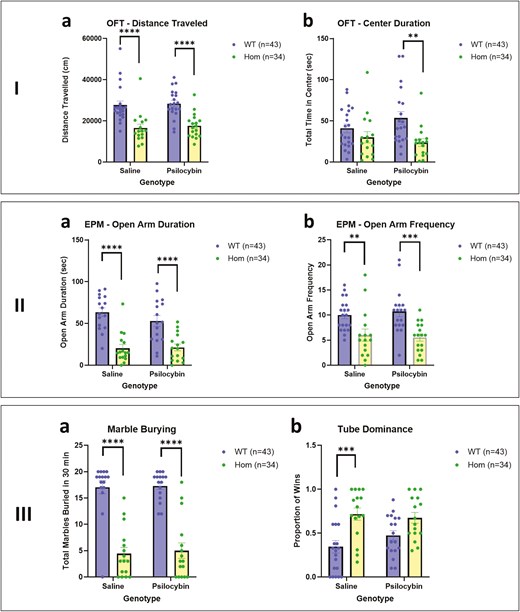 The figure displays results from several behavioral tests comparing WT and HOM genotypes under Saline and Psilocybin conditions. Panel I-a shows the distance travelled in the open field test (OFT), and Panel I-b shows the time spent in the center of the OFT. Panel II-a and II-b depict open arm duration and frequency in the elevated plus maze (EPM). Panel III-a shows the number of marbles buried in the marble burying test, and Panel III-b presents the proportion of wins in a tube dominance test. Each panel includes bar graphs with standard errors of the mean.