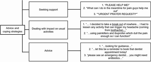 ‘Advice and coping strategies’ theme and subthemes together with illustrative quotes.
