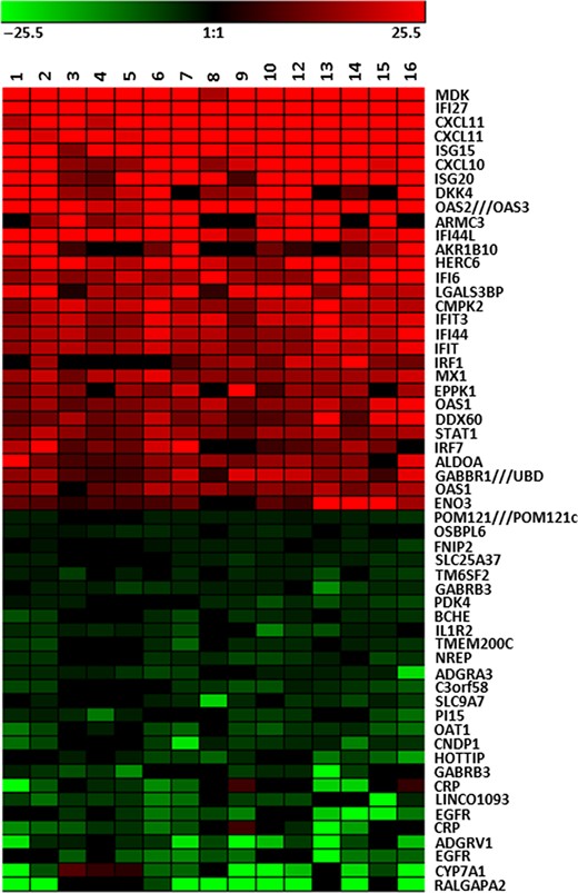 Heat Map of Hepatic Gene Expression in HCV Chronic Chimpanzees. The 30 most highly induced genes in the liver of HCV chronically infected chimpanzees are shown in red. The analyses involve total genome microarray analysis from 16 liver samples from HCV-infected chimpanzees in comparison to 6 uninfected chimpanzees. The 30 genes with the greatest decrease in expression in infected liver are shown in green. The genes increased in expression are primarily ISGs as determined by comparison to uninfected animals treated with IFNα. These genes are uniformly expressed at high levels during HCV infection. The genes decreased in expression may reflect some genes specifically regulated by IFN, but the response is variable in different chimpanzees.
