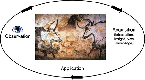 The relations between human observation and manipulation of animals sharing their environments. See text for details. Cave painting image courtesy of Prof Saxx—Public Domain, https://commons.wikimedia.org/w/index.php?curid=2846254.
