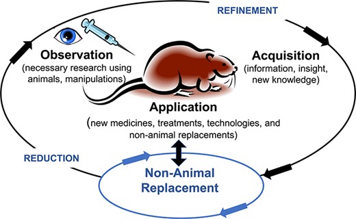 Depicts the modern relations between human observation and manipulation of animals for acquisition of new knowledge supporting new applications for benefit of clinical and veterinary medicine and species survival. See text for details.
