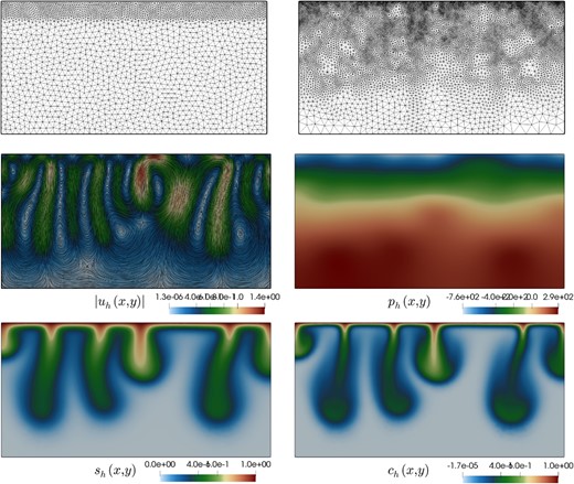 Example 4. Samples of adapted meshes at times $t=60,1200$ (top panels), and approximate solutions shown at time $t=1500$ (bottom rows), and computed with a method using $k=2$.