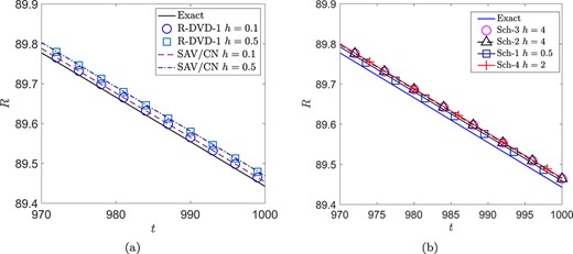 The evolution of radius $R(t)$.