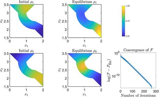 Equilibrium solution for a two-species system on a multishape. Bottom right: convergence of the free energy $\mathcal F$, measuring the log change in $\mathcal F$ shifted by the final value of the free energy $\mathcal F_{\text{fin}}$ in order to compare the differences in free energy rather than absolute values.