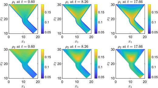 Dynamics of two interacting species of different size in a funnel under the influence of gravitational forces.