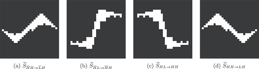 The custom-made directional structuring elements $\widetilde{S}_{\nu \rightarrow \nu ^{\prime }}$ we use for our specific limited-angle measurement geometry.