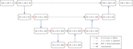 Network architecture of $\mathcal{N}_{2}$.