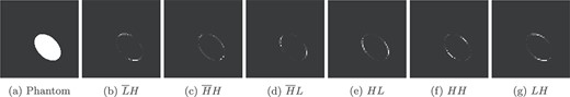 The first scale of complex wavelet detail coefficients of a phantom shown in (a). The orientations of coefficient sub-bands are denoted below each sub-band. Here, the absolute value of the complex-valued detail coefficients is shown.