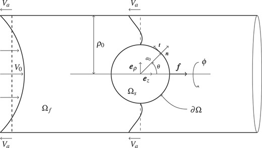 We consider an elastic particle translating with velocity $V_{a} \boldsymbol{e}_{z}$ along the centre-line of a cylindrical tube driven by Poiseuille flow in the far-field and subject to an axial body force $\boldsymbol{f}$. We work in the frame of reference of the translating particle, resulting in sliding walls of velocity $-V_{a} \boldsymbol{e}_{z}$. The fluid domain and solid domains are denoted by $\varOmega _{f}$ and $\varOmega _{s}$, respectively, with the interface between the two phases denoted by $\partial \varOmega $.