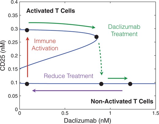 The figure demonstrates a saddle node bifurcation caused by adjusting the concentration of Daclizumab in the system for specific values of IL-2 and CD122 (0.1 nM of each). Values for $V_0$, $C_0$, $K_0$ and $n$ were determined by fitting data produced by Model I. Additionally, $\frac{r_s}{d_s}$ and $\frac{d_\alpha}{p_\alpha \, pS^*}$ were chosen to ensure the model demonstrated bistability when the concentration of Daclizumab was zero.