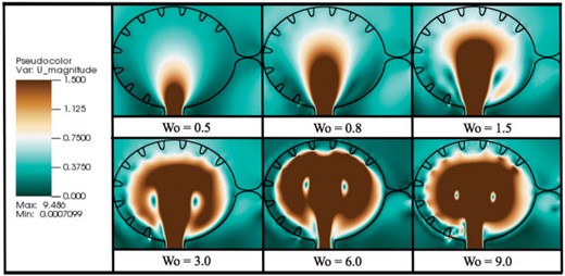 Magnitude of velocity colourmaps, corresponding to simulations of varying $Wo$ for biologically relevant trabeculae height. The images were taken immediately after diastole, when the ventricle stops expanding.
