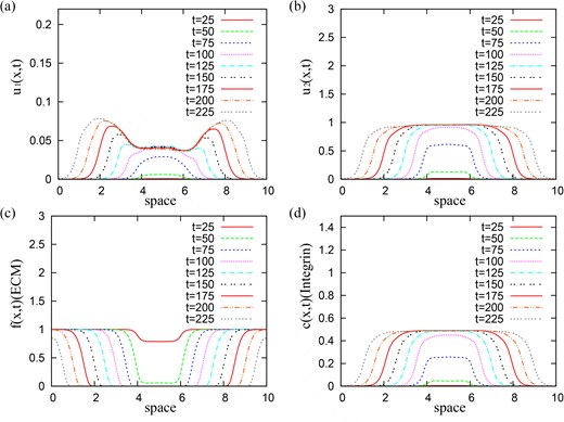 The evolution of the travelling waves under small perturbations for qr = 0.0005, qa = 0.00025 and the rest of the model parameters given in Table 2, of (a) cancer cell density u1 of the first (‘normal’) population; (b) cancer cell density u2 of the second (‘mutant’) population; (c) ECM density f; (d) integrin density c.