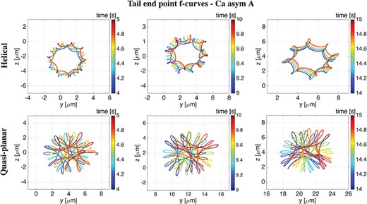 Helical vs Quasi-planar waves. Tail end point f-curves on the $yz$-plane over three time intervals of $1$s (left column: from $4$ to $5$s, middle column: from $9$ to $10$s, right column: from $14$ to $15$s) in the case of a helical wave (top row) and a quasi-planar wave (bottom row), for the Ca asym A case. As time progresses, the f-curves are increasing in both z and y.