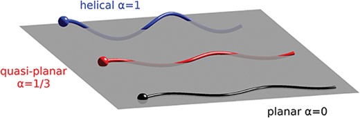 Flagellar beat forms. Schematic representation of the three flagellar beat forms considered: planar wave (bottom), quasi-planar wave (middle) and helical wave (top), and their corresponding value of the chirality parameter $\alpha $.