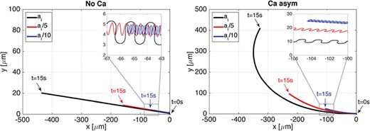 Planar wave. Trajectories of the flagellum first point in the direction of swimming in time $t$ varying the bending and twist moduli $a_i$: moduli as in Table 1 (largest sperm progression), reduced by a factor of $5$ (moderate sperm progression) and reduced by a factor of $10$ (smallest sperm progression). No Ca case is on the left and Ca asym case is on the right. The zoomed in portion highlights that the trajectories oscillate in time.