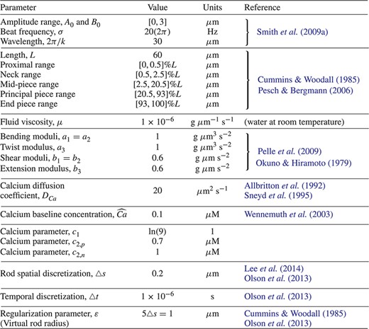 The material and geometric parameters of the sperm flagellum, the calcium model parameters, as well as the numerical algorithm parameters.