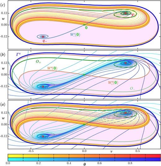 Isochron geometry in region D in the (rotated) $(v, w)$-plane, with invariant objects labelled as in Fig. 2. Panel ((a)) shows the phase portrait of region D, consisting of and , and , together with ten isochrons of and 20 isochrons of . Panel ($b$) shows the phase portrait with only , and panel ($c$) with only ; each isochron is coloured according to its phase $\theta $ as given by the colour bars. Along the trajectories (dark and light green, respectively) the foliations and have quadratic tangencies. Compare with Figs. 2 and 3.