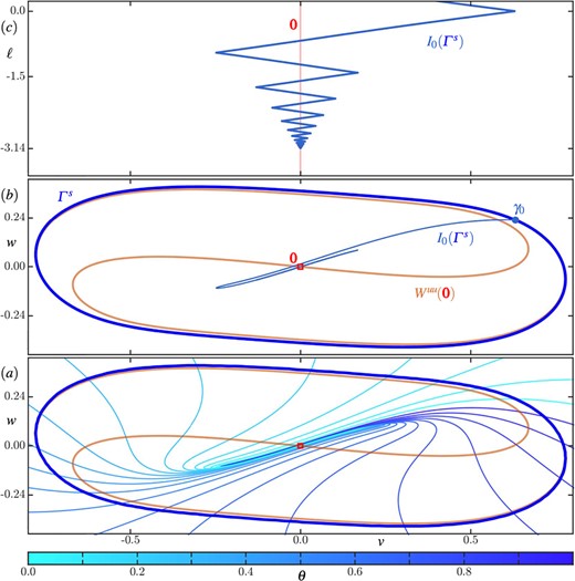 Details of isochron geometry in region F in the (rotated) $(v, w)$-plane. Panel ((a)) shows the phase portrait, consisting of , , and , together with ten isochrons of , and panel ((b)) shows the phase portrait with only the zero-phase isochron ; here, each isochron in panel ($a$) is coloured according to its phase $\theta $ as given by the colour bar. Panel ($c$) shows how the $v$-coordinate along changes with arclength $\ell $ (asymptotically approaching $\ell \approx -3.138$), where the $v$-range is as in panels ($a$)and($b$) and the red vertical line indicates the position with respect to the $v$-direction. Compare with Figs. 2 and 3.
