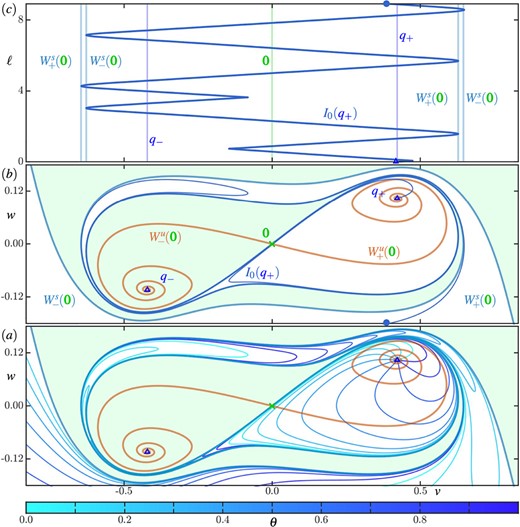 Details of isochron geometry in region A in the (rotated) $(v, w)$-plane. Panel ((a)) shows the phase portrait, consisting of , and and , together with ten isochrons of (), and panel ($b$) shows the phase portrait with only the zero-phase isochron ; here, each isochron in panel ($a$) is coloured according to its phase $\theta $ as given by the colour bar. Panel ($c$) shows how the $v$-coordinate along changes with arclength $\ell $, where the $v$-range is as in panels ($a$)and($b$) and the vertical lines indicate the positions , and the folds of with respect to the $v$-direction. Compare with Figs. 2 and 3.