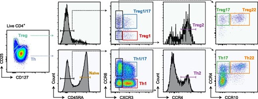 FIGURE 1. Gating strategy used to sort Th, Treg, and naive cell populations. / Representative flow cytometric analysis of gated CD4+ peripheral blood mononuclear cells showing gating strategy used to sort each of the 11 T cell populations for RNA-seq analysis.