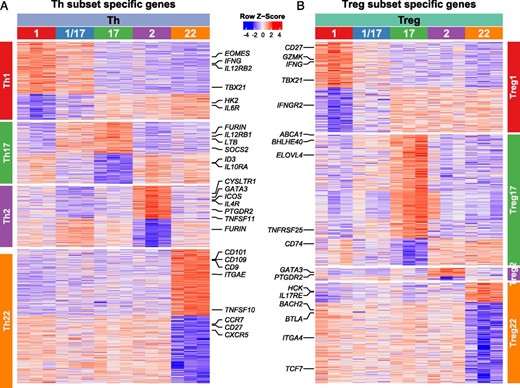 FIGURE 5. Identification of subset-specific transcriptional signatures in Th and Treg cells. / Heatmaps representing expression of genes in each of the indicated cell samples (top labels) that were upregulated or downregulated (adjusted p value <0.05 and absolute log2 fold-change >1) in each of the (A) Th cell or (B) Treg cell populations (side labels) as indicated. Select genes in each of the population signatures are highlighted.