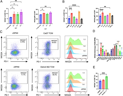 HNSCC cell lines Cal27 and Detroit 562 induce NKG2A expression on CD8+ T cells.