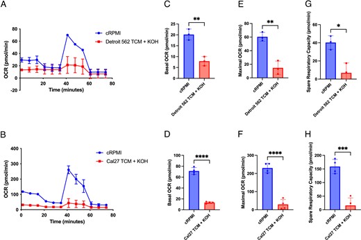 TCM decrease CD8+ T cell mitochondrial respiration.