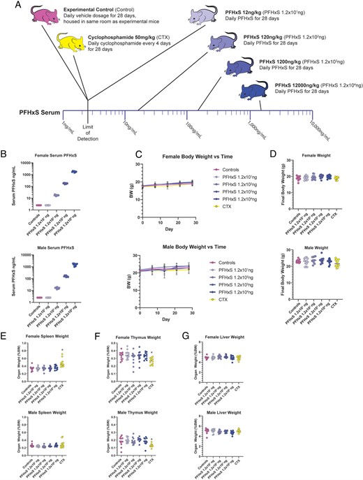 PFHxS does not affect body weight or organ weights.