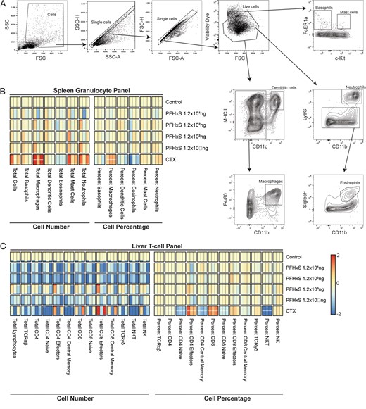 PFHxS does not influence spleen granulocytes or liver T cell percentages or counts.