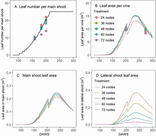 Model verification of vineyard leaf number per main shoot (A), leaf area per vine (B), leaf area on main shoots (C) and lateral shoots (D) in the retained node number trial in the season 2009/10. The sudden drop in leaf area around 200 DAWS was caused by the summer pruning events.