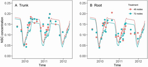 The dynamics of the NSC concentration in grapevine trunk (A) and root (B) with different retained node number per vine. Lines are predictions and points are observed data. The trial started in 2006 when the vines were 3 years old. Detail NSC measurement started in 2009 when the vines were 6 years old. Root samples were taken from a mixture of old and younger roots varying from 1 to 5 mm in diameter at a depth of ~150 mm.