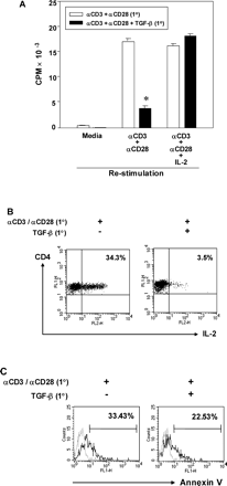 TGF-β-mediated induction of T cell anergy. LN cells were stimulated in the presence or absence of 5 ng/ml TGF-β for 48 h and rested for 48 h. (A) After extensive washing, 1.5 × 105 cells were re-stimulated with 1 μg/ml anti-CD3 and 0.2 μg/ml anti-CD28 in the presence or absence of 200 U/ml IL-2 and in the absence of TGF-β for 45 h, followed by [3H]thymidine incorporation assays (*P < 0.01, Student's t-test). (B) 5.0 × 105 cells were re-stimulated with 5 μg/ml anti-CD3 and 1 μg/ml anti-CD28 antibodies for 6 h and stained with anti-CD4–FITC and anti-IL-2–PE, followed by FACS analyses. (C) To detect apoptotic cells after 48 h resting in fresh medium, cells were harvested and stained with anti-CD4–PerCP and annexin V–FITC. CD4+ T cells were gated and the percentage of annexin V-stained CD4+ T cells was determined by flow cytometry. A representative result of three independent experiments is shown.