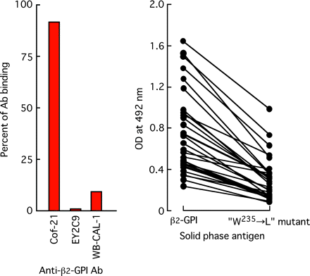 Binding of anti-β2-GPI antibodies to solid-phase ‘W235 → L’ mutant protein. β2-GPI and its mutant proteins were coated on a polyoxygenated plate. Binding of mouse or human mAb (1 μg ml−1) (A) and of antibodies in 30 anti-β2-GPI-positive APS sera to W235 → L mutant protein was determined. A 100-fold diluted anti-β2-GPI antibody-positive sera were used.