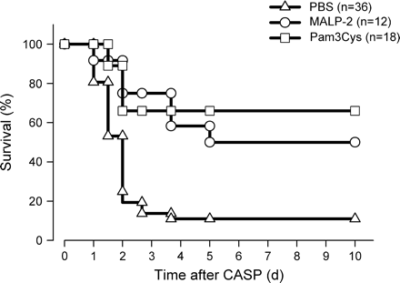 Improved survival of acute polymicrobial peritonitis in mice treated with MALP-2 or Pam3Cys. Mice were injected i.p. with PBS (triangles, n = 36) or with 2 μg MALP-2 (open circles, n = 12) or 50 μg Pam3Cys (open squares, n = 18) for 4 days before CASP. Survival was monitored over 10 days. The data were pooled from four independent experiments each demonstrating an improved survival of mice primed with TLR2 ligands compared with controls. Statistical significance was determined by log-rank test. P < 0.005 Malp-2 and PAM3Cys treated mice versus controls.