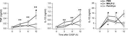 Reduced serum cytokines levels during septic peritonitis after treatment of mice with MALP-2 or Pam3Cys. Mice were pre-treated with MALP-2 (circles), Pam3Cys (squares) or PBS (triangles) 4 days before CASP surgery. Serum samples were obtained either from mice prior to CASP (0 h) or from mice 3, 6 and 12 h after CASP. The content of TNF, IL-10 and IL-12p40 was determined by ELISA. Results are derived from 9–18 mice per group and time point. *P < 0.05 and **P < 0.01 (MALP-2-treated or Pam3Cys-treated mice versus controls), #P < 0.05 (MALP-2-treated mice at 0 h versus later time points).