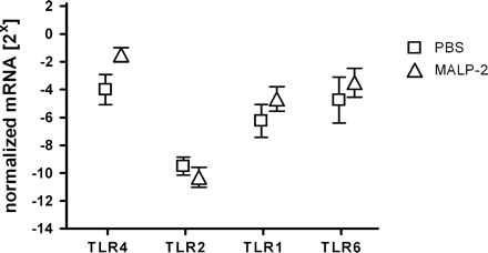 Modulation of mRNA levels of TLRs in MALP-2-treated mice. Mice were pre-treated with MALP-2 or PBS for 4 days. RNA was prepared from spleen cell suspensions. Semi-quantitative PCR analysis was performed for tlr2 and tlr4 using expression of glycerinaldehyde 3-phosphate dehydrogenase as control. Results are derived from 8–12 mice per group.