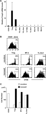Foxp3 expression and suppressive activity of HTLV-I-infected cell lines. (A) Foxp3 expression in ATL, HTLV-I-infected, and non-infected T cell lines. Foxp3 expression in T cell lines was determined by real-time PCR as described in Fig. 1A. The mRNA expression of Foxp3 was normalized to the copies of GAPDH mRNA from the same sample. Asterisks represent undetectable levels of the Foxp3 transcript. (B) Suppressive activity of HTLV-I-infected cell lines. CFSE-labeled CD25−CD4+ T cells (5 × 104) were stimulated with soluble anti-CD3 mAb in the presence of irradiated DCs. Treg cells, MT-2 cells or TL-Om1 cells (2.5 × 104 each) were added directly to the cultures or placed into trans-well chambers. After 5 days of culture, the CFSE intensity was measured by FACS as an indicator of cell division. The frequency (%) of cells failing to undergo cell division is indicated in the figure. (C) Trans-well separation abrogates the MT-2-cell-associated suppression of CD4 T cell proliferation. The same experiments were performed as described in (B). The number of live CFSE-labeled CD4+ T cells was counted 5 days after CD3 stimulation. Similar results were obtained in three independent experiments.