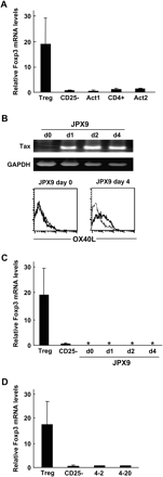 Foxp3 expression was not induced during T cell activation or HTLV-I infection. (A) Foxp3 expression was not be induced in activated T cells. Several recent reports demonstrated that certain procedures for T cell activation can induce Foxp3 expression. Therefore, according to the methods described in these papers, CD25−CD4+ T cells were activated with coated anti-CD3 and soluble anti-CD28 for 1 day and then cultured in the absence of stimulants for three more days (Act1) (21). Alternatively, CD4+ T cells were stimulated with allogeneic APCs in the presence of IL-2 and TGFβ for 6 days (Act2) (23). Foxp3 expression in Treg cells and activated CD4+ T cells before (CD25− or CD4+) and after stimulation (Act 1–2) was measured by real-time PCR as described in Fig. 1A. (B) Tax induction in Jurkat cells. JPX9 cells were treated with 30 μM CdCl2. Tax expression and induction of OX40L, a target for tax, were confirmed at the indicated days after treatment. Thick and thin lines in the lower panels represent OX40L staining and control staining, respectively. (C) HTLV-I tax induction did not affect the Foxp3 expression in Jurkat cells. JPX9 cells were collected at the indicated days after stimulation, and their Foxp3 expression was measured by real-time PCR, as described above. Asterisks represent undetectable levels of the Foxp3 transcript. (D) HTLV-I infection of CD25−CD4+ T cells does not change their Foxp3 expression. The Foxp3 expression in freshly isolated CD25−CD4+ T cells and two independent HTLV-infected cell clones (4-2 and 4-20) that were established from purified CD25−CD4+ T cells by co-culture with MT-2 cells was estimated by real-time PCR, as described above.